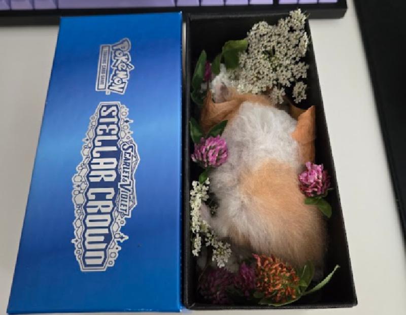 Featured image of post Rest In Peace Hammer